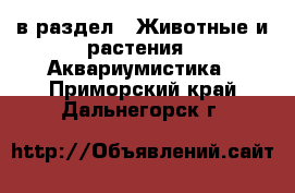  в раздел : Животные и растения » Аквариумистика . Приморский край,Дальнегорск г.